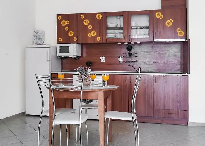 South Vacation 阳光海滩