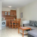 Apartment South Vacation *